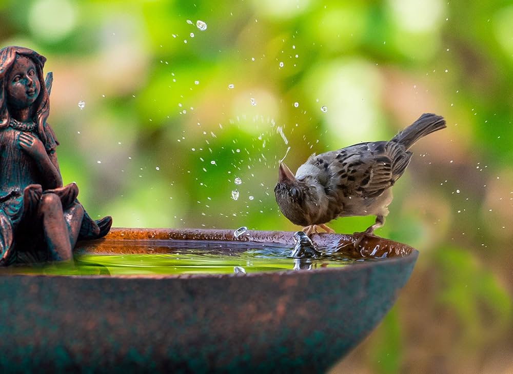 Product: Birdbaths